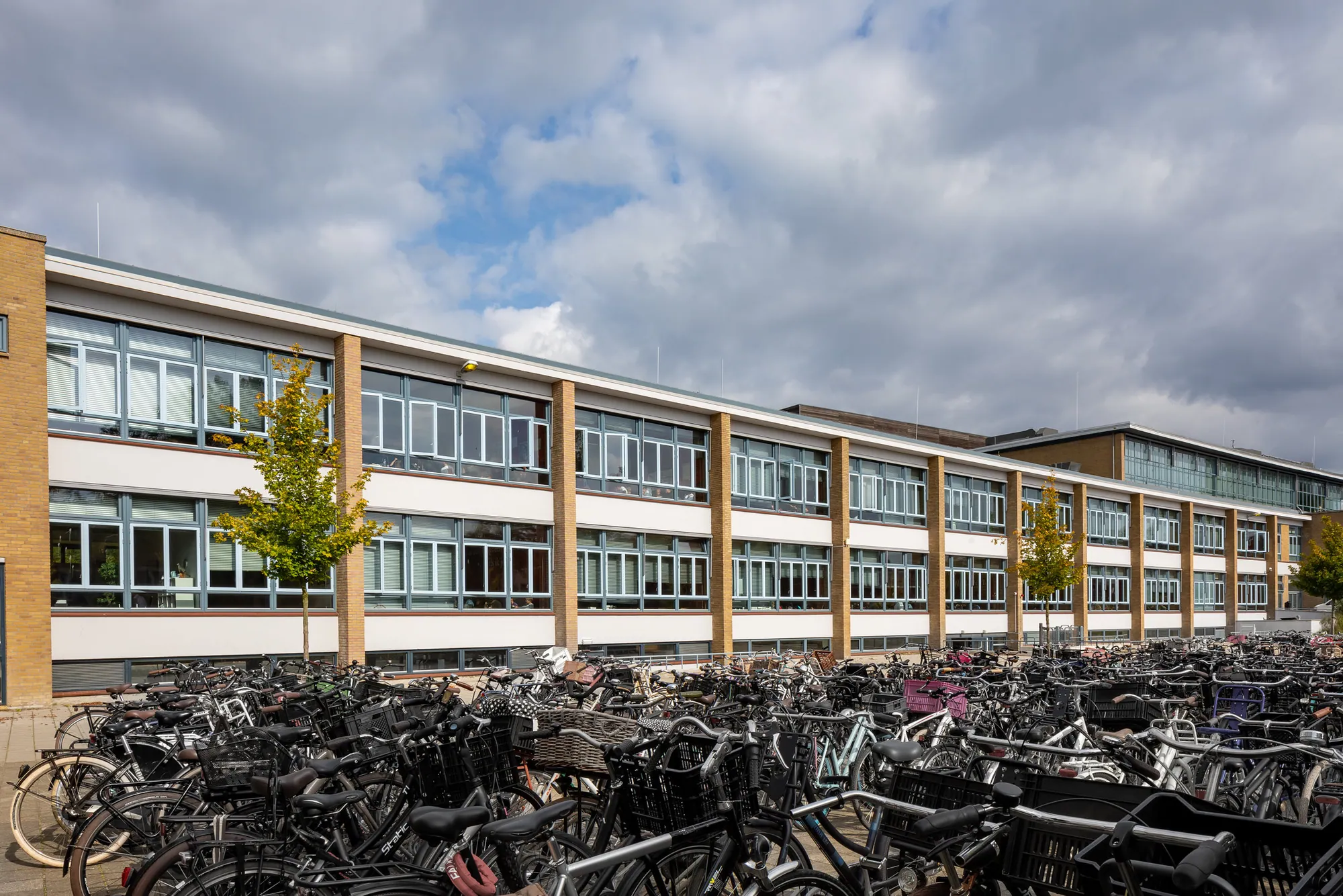 Timmerfabriek Gebr. Bos B.V.