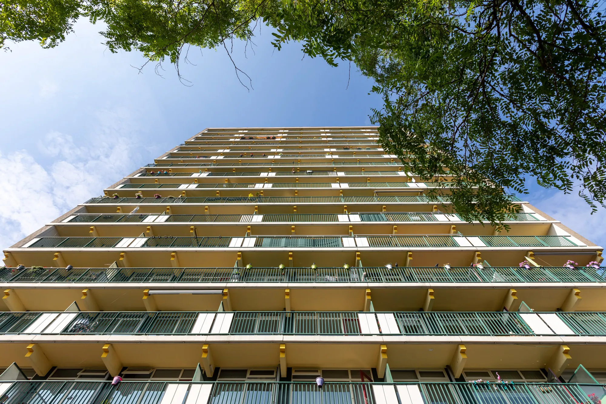 Eigen Haard - renovatie flat