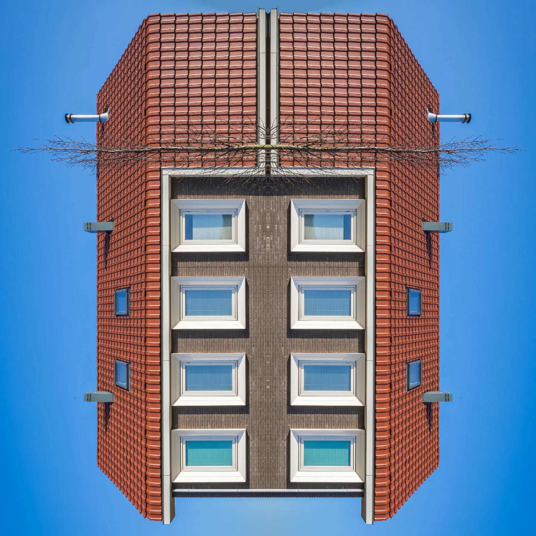 VBM Ontwikkeling