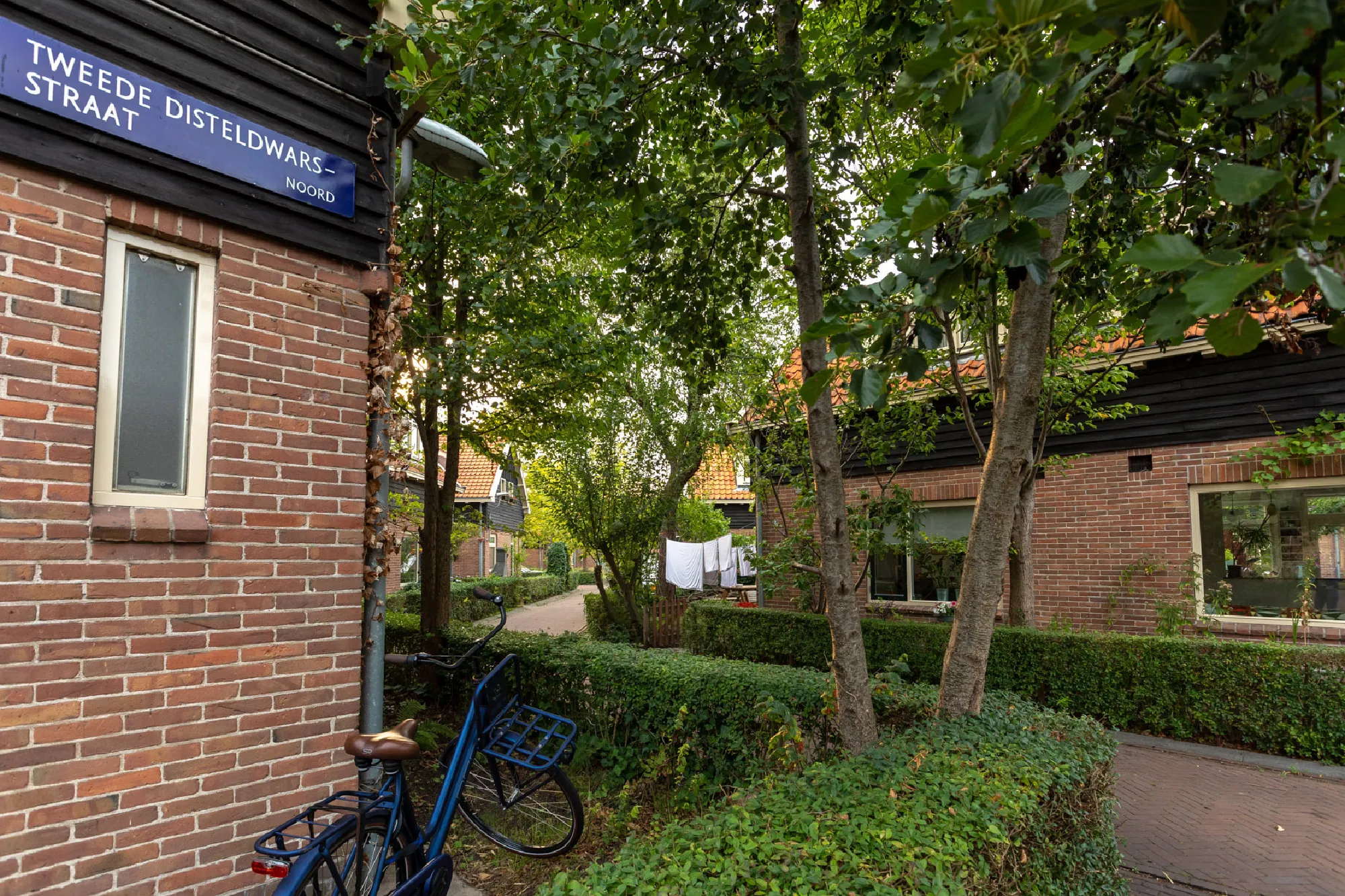 Gehele project te volgen via #topupamsterdam