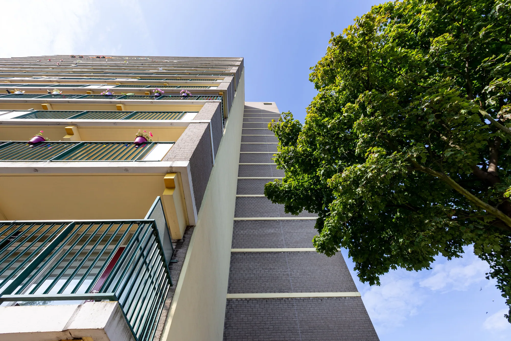 Eigen Haard - renovatie flat