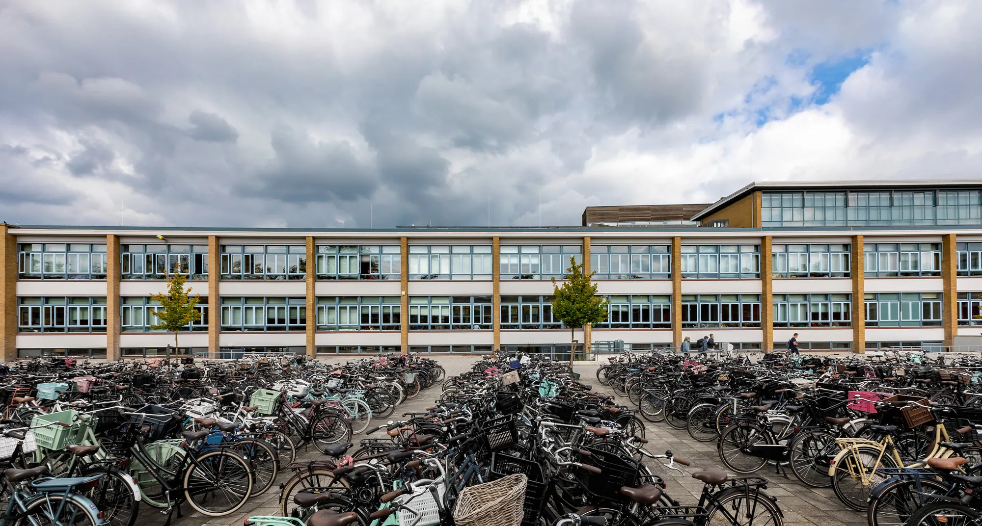 Timmerfabriek Gebr. Bos B.V.