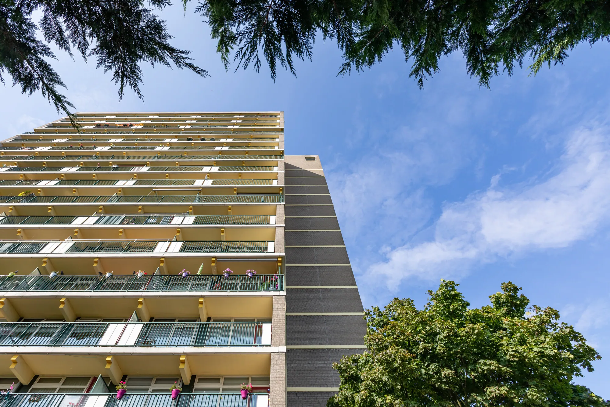 Eigen Haard - renovatie flat