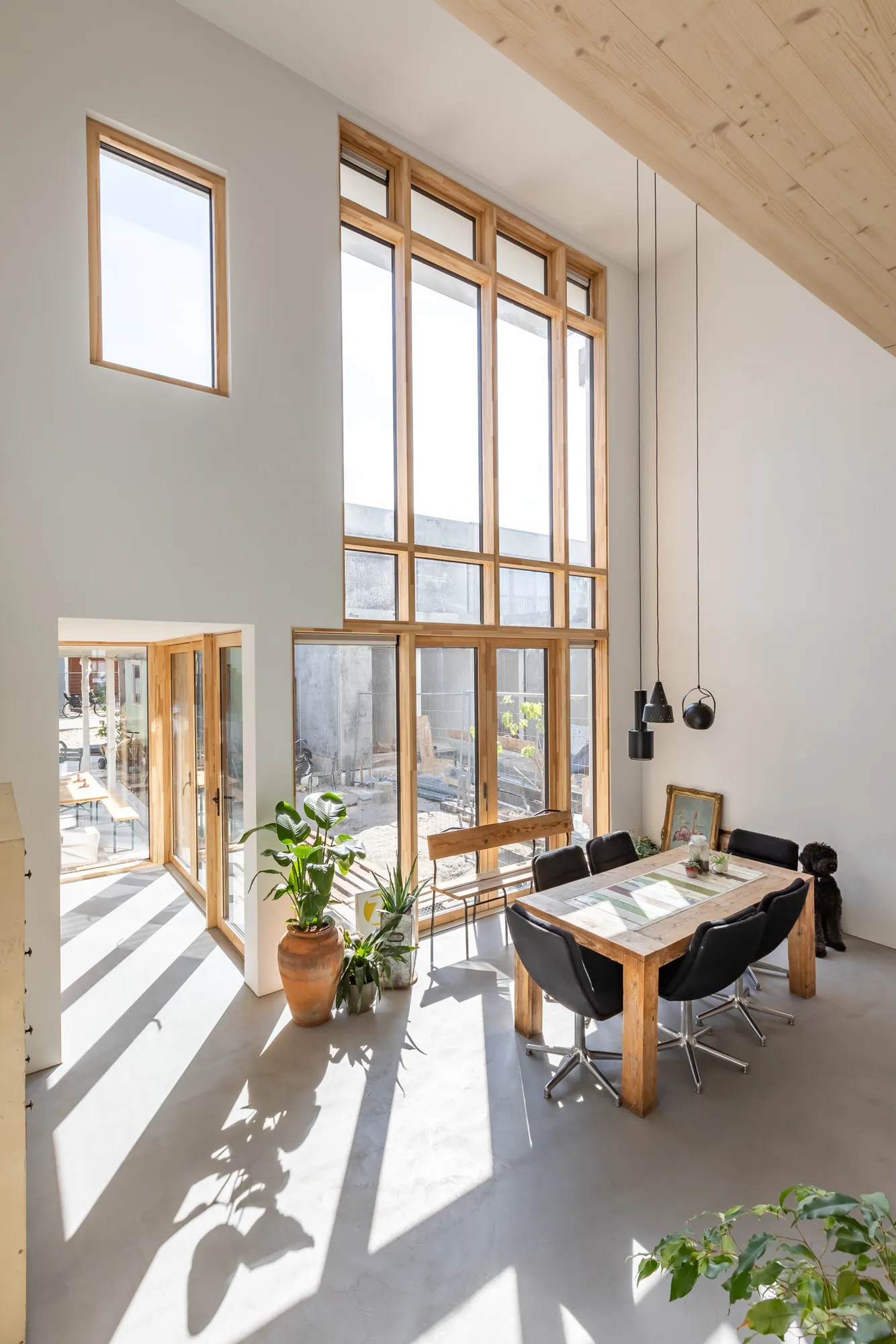 Fem Architects - ARC19