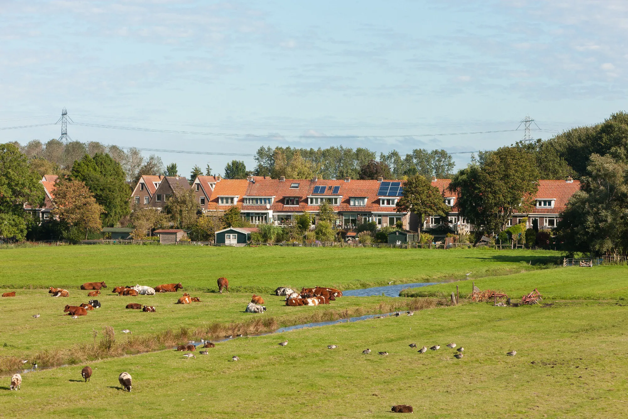 Omgevings en sfeerbeelden nieuwbouwwijk Klein Kadoelen in Amsterdam Noord